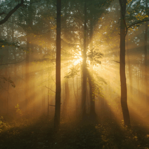 Silvia Orlando,Silviattitude,thérapeute énergétique,parcours spirituel,expérience de vie,soins énergétiques Ottignies,accompagnement personnel,conscience et énergie,bien-être intérieur,chemin de lumière